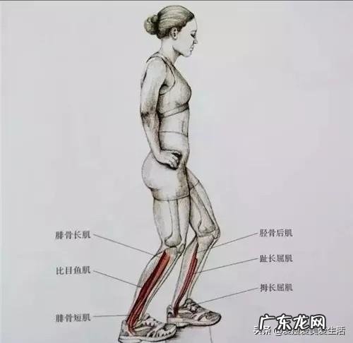 三寸金莲是怎样弄出来的?