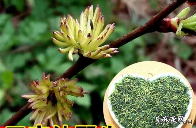 冬天想喝果汁可是太凉,有啥好办法?