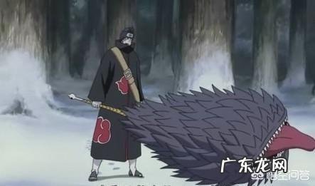 《火影忍者》里小南身价多少