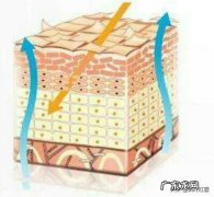 明明自己做好了护肤保养为何肌肤还会不断脱皮？