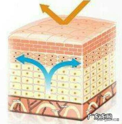 明明自己做好了护肤保养为何肌肤还会不断脱皮?