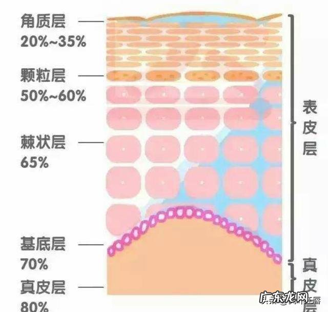 明明自己做好了护肤保养为何肌肤还会不断脱皮?