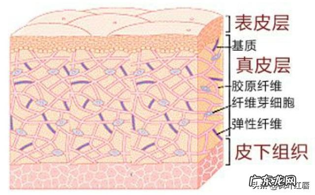 明明自己做好了护肤保养为何肌肤还会不断脱皮?