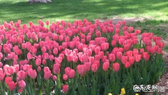 有人能分享一些适合女生的搞笑段子吗?