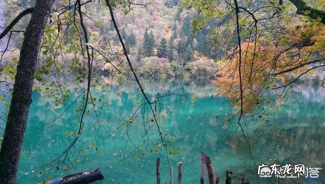 有人能分享一些适合女生的搞笑段子吗?