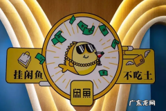 闲鱼鉴定平台怎么用？闲鱼认可哪些鉴定平台？