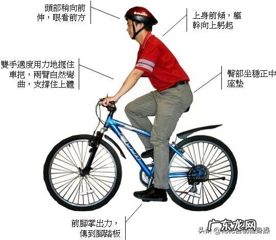 每天骑共享单车一小时可以减肥吗?