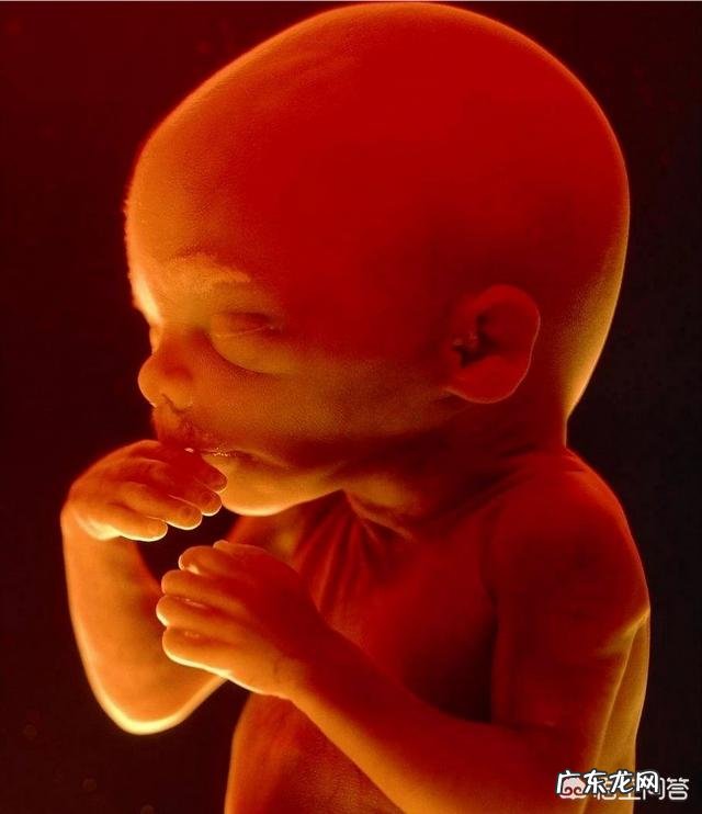 26周出生的宝宝可以存活吗存活几率有多大