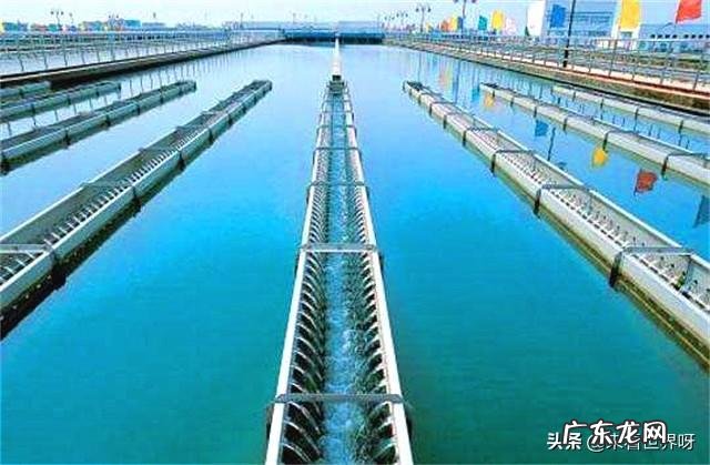 人的大脑可以沟通身体吗比起指挥基因，或者指挥免疫系统