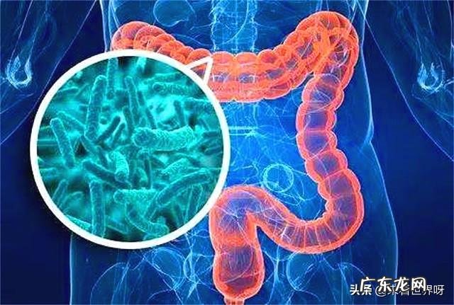 人的大脑可以沟通身体吗比起指挥基因，或者指挥免疫系统