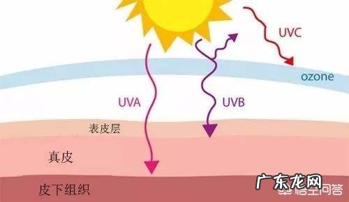 脖子晒黑，多久可以恢复呢