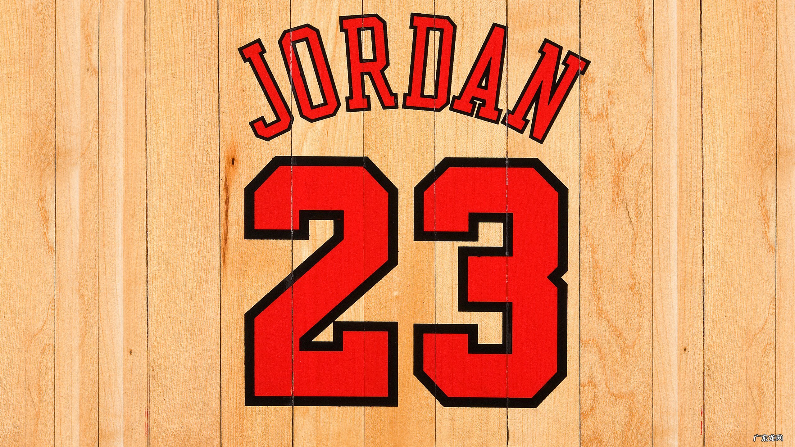 蛋白粉和蛋白质代餐奶昔有什么区别?