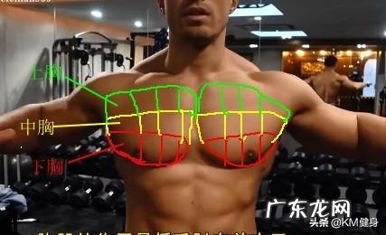 怎样才能快速练成腹肌和胸肌?