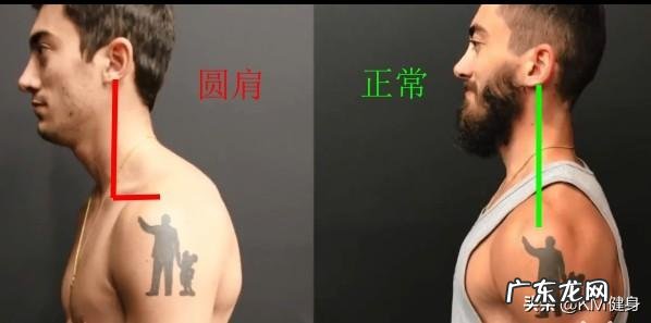 怎样才能快速练成腹肌和胸肌?