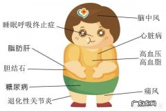 每天晚上只吃红薯，可以减肥吗？是否有科学依据证明？