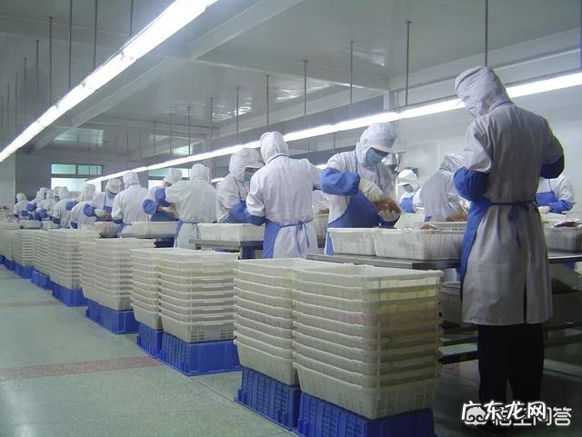 猫咪为什么总是爱和狗狗打架