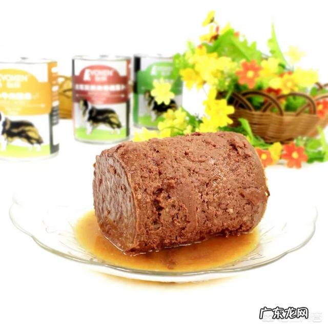 猫咪为什么总是爱和狗狗打架