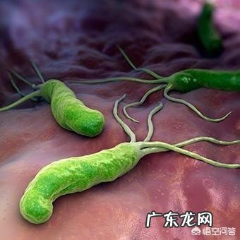 部门体检6个人中有4个人查出有幽门螺旋杆菌病毒,请问能根zhi吗