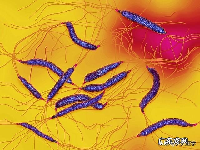 父亲诊断为慢性萎缩性胃炎,请问怎样的zhi疗合适?注意哪些饮食?