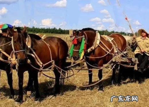 夫妻之间几年中经常无话可说,这是怎么了?