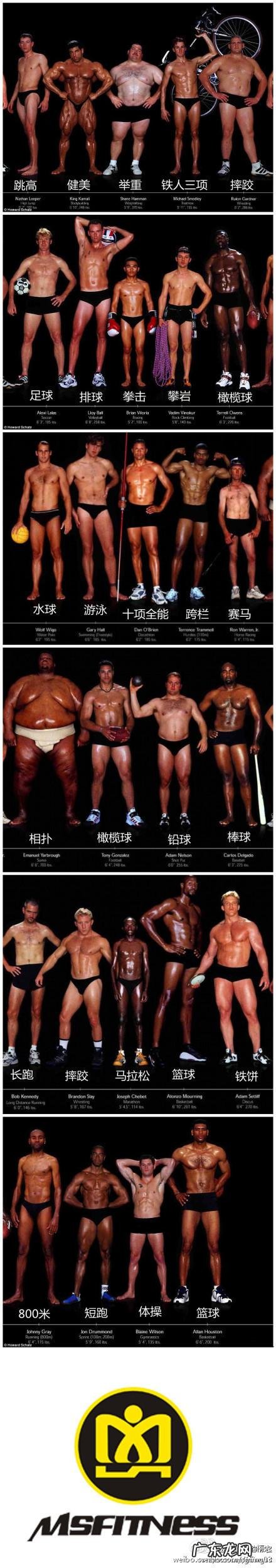 不同项目的运动员身材上有哪些不同