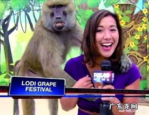 生男生女真的可以自己掌握吗?