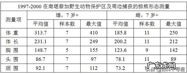 为什么说棕熊任何猫科都打不过它