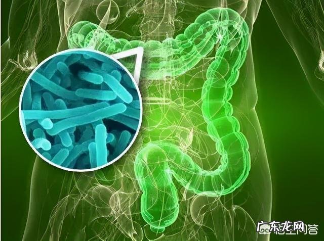 健身和提高免疫力到底有怎样的关系