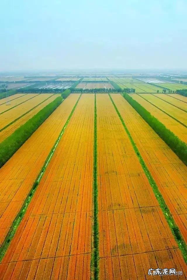 夏天孩子回农村老家,为什么几天就会被晒黑还回农村吗