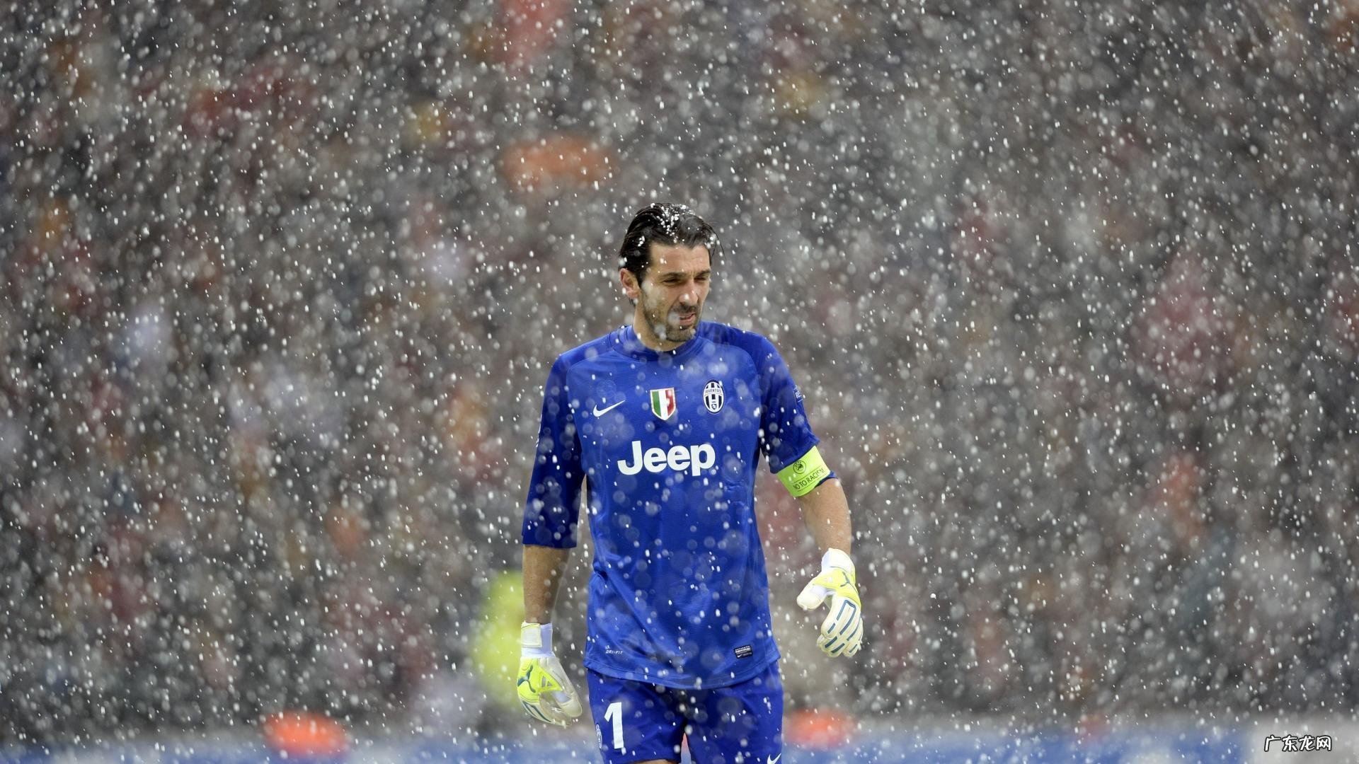 我家小博美3个半月大了每天喂几次狗粮每次喂几颗?