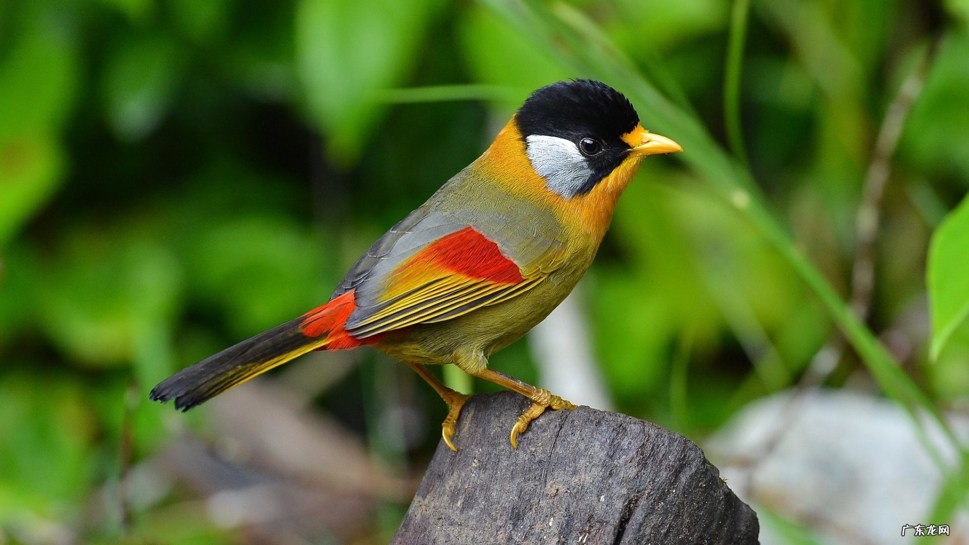 帮我制订一个夏季减肥计划
