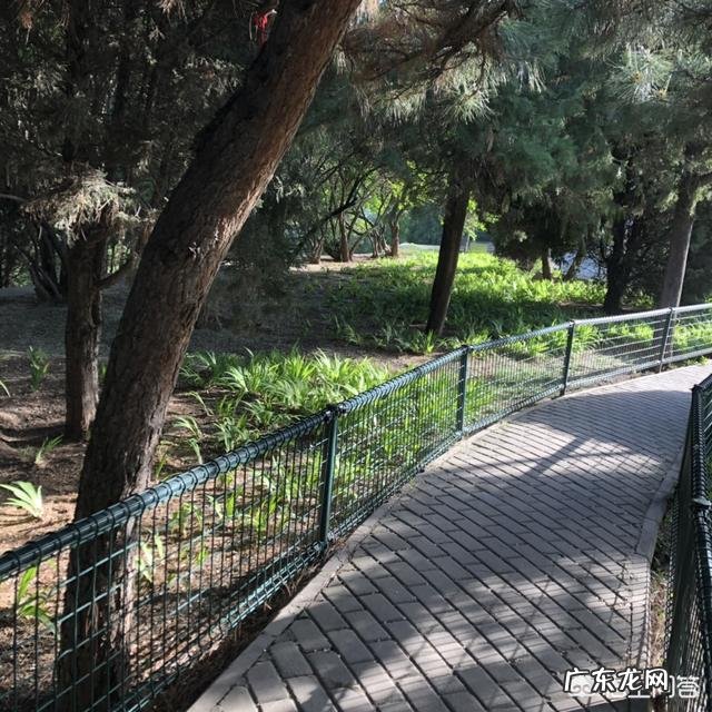 学拳击减肥需要注意些什么?