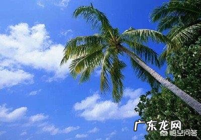 海南被誉为世界长寿之岛,长寿老人都有哪些生活习惯?