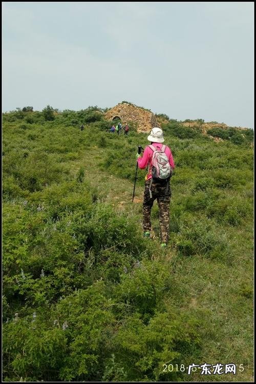 最近胖了不少，大家有什么方法可以暴瘦吗？