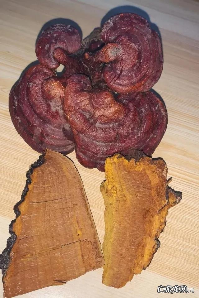 最近工作被迫熬夜精神萎靡了，有什么养生产品吗？