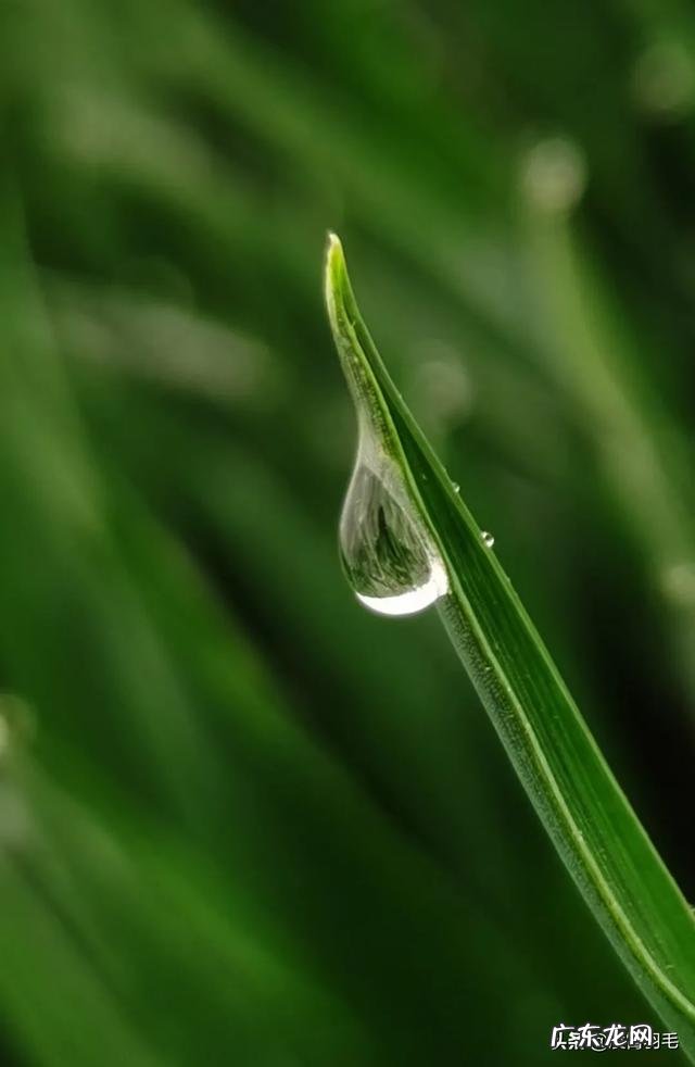 最近工作被迫熬夜精神萎靡了，有什么养生产品吗？