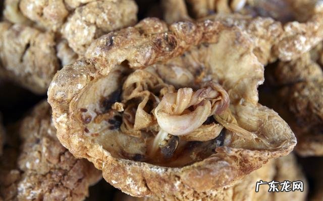 我每天焦虑抑郁,怎么办?