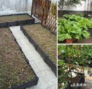 在农村，怎样做到不理会别人的闲言碎语？