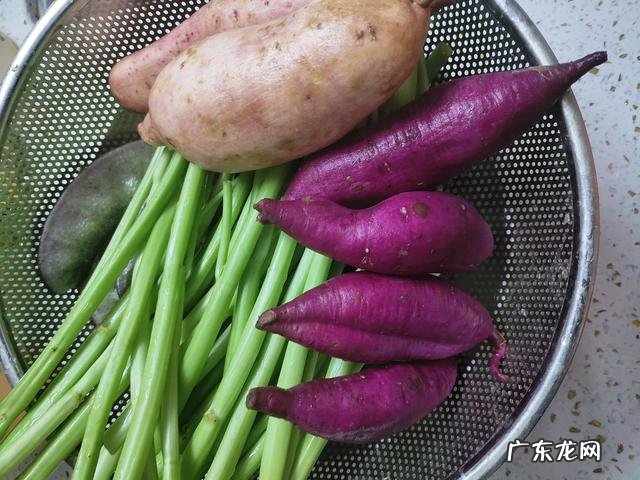 上班族带隔夜饭菜,怎么做才健康?