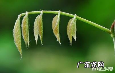 春天到了,怎样跑步才能更减肥?