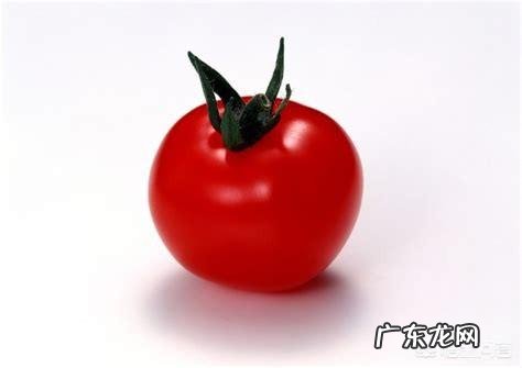 多吃西红柿对男性健康有什么作用