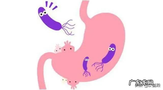 幽门螺旋杆菌有多可怕,会不会导致胃癌呢