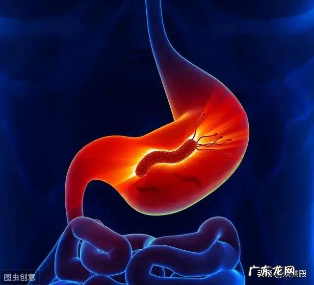 幽门螺旋杆菌有多可怕,会不会导致胃癌呢