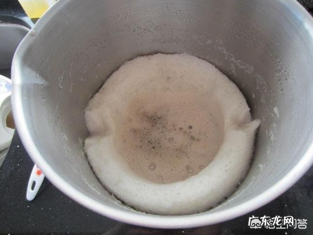 如何在家自制好喝的豆浆?