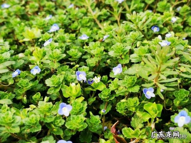 我现在懒得谈恋爱了嫌麻烦,习惯一个人的生活了,怎么办?