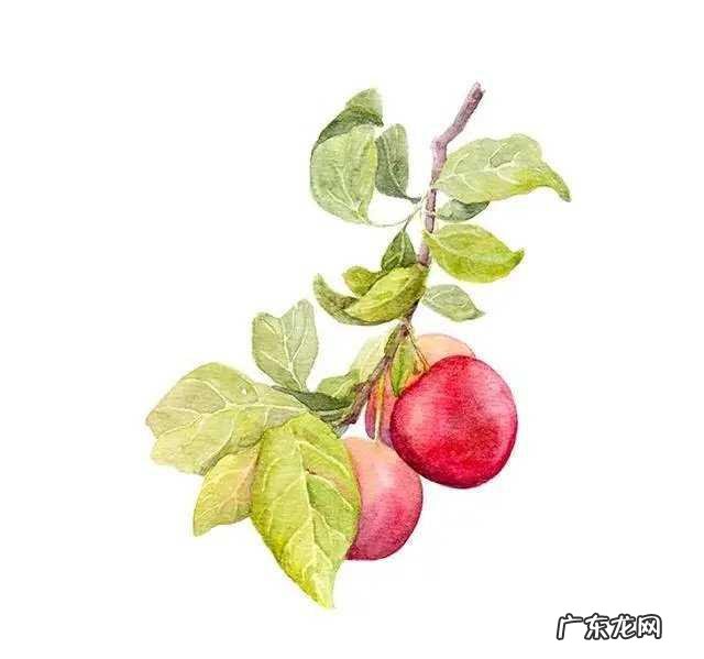 我现在懒得谈恋爱了嫌麻烦,习惯一个人的生活了,怎么办?