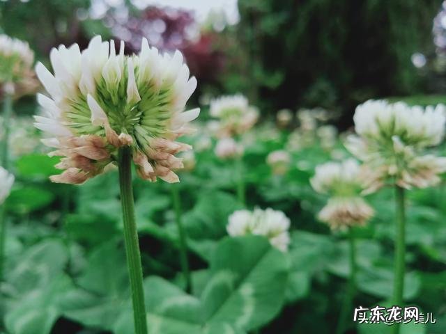 为什么就在背叛中走不出来？ 被心爱女人背叛爱碎了怎么走出来