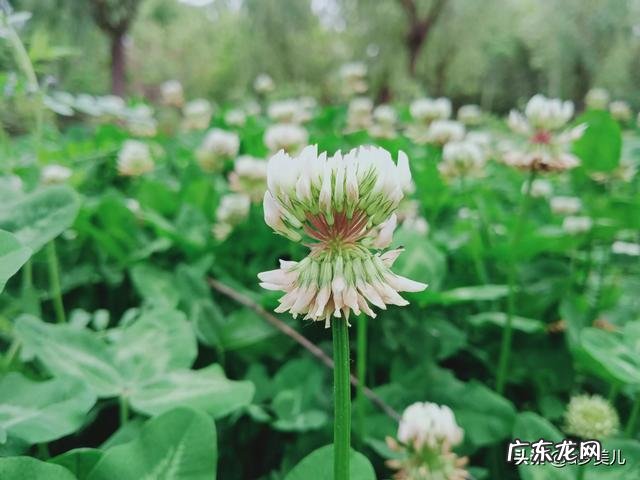 为什么就在背叛中走不出来？ 被心爱女人背叛爱碎了怎么走出来