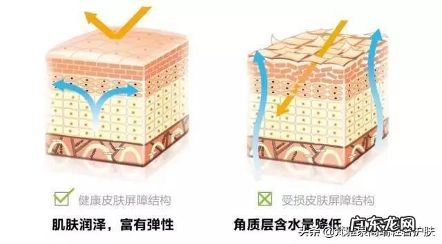 脸是混油并且敏感，容易发红有红血丝，有什么牌子的护肤品好