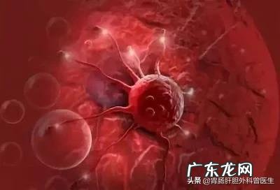 乳腺癌放化疗后该如何饮食？